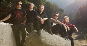 BIG updates from The Wedding!