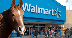 Obadiah is on the meds.