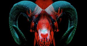 Project 86 on The RIOT