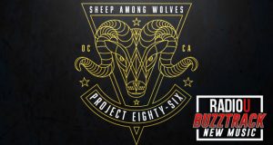 Project 86 – Sheep Among Wolves