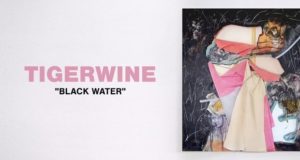 Shane from Tigerwine on The RIOT