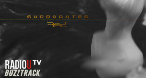 Red – Surrogates